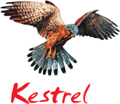 Kestrel Logo