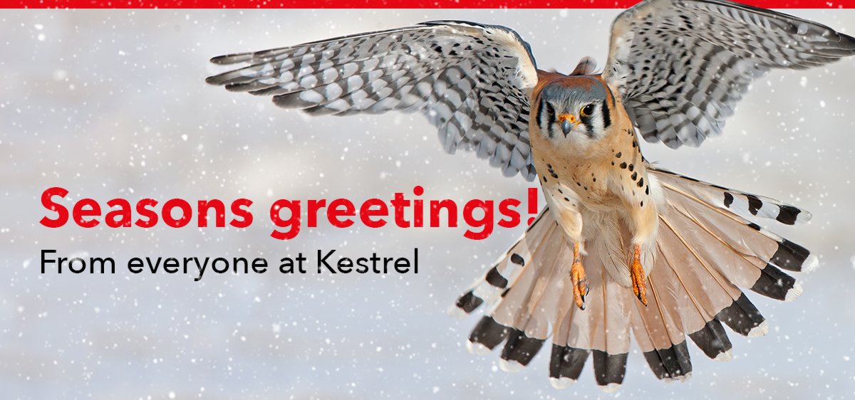 Seasons greetings from everyone at Kestrel